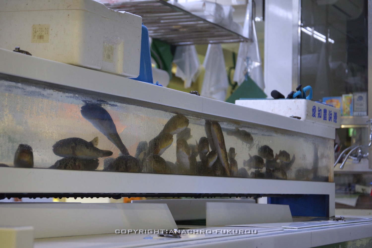 f:id:anachro-fukurou:20211025200045j:plain