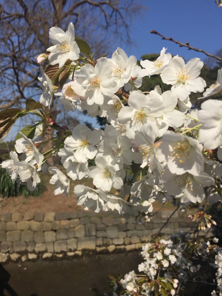 f:id:anadoren:20180428230321j:plain f:id:anadoren:20180428230321j:plain
