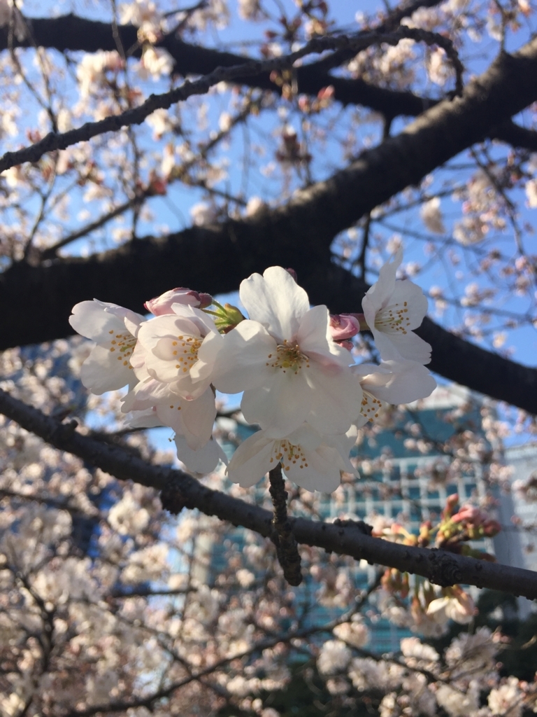 f:id:anadoren:20180428230331j:plain f:id:anadoren:20180428230331j:plain