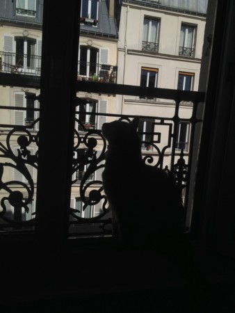 f:id:anagma:20140515103248j:image