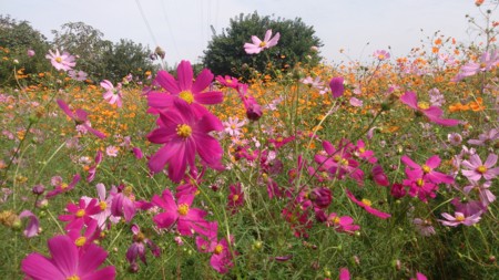 f:id:anago_san:20141004102506j:image
