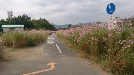 f:id:anago_san:20141004111636j:image