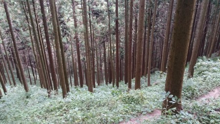 f:id:anago_san:20141004124929j:image