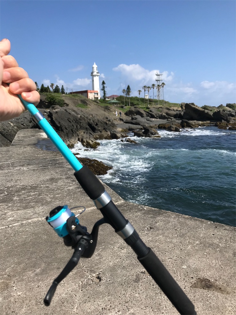 f:id:anahazetaro:20190523065525j:image