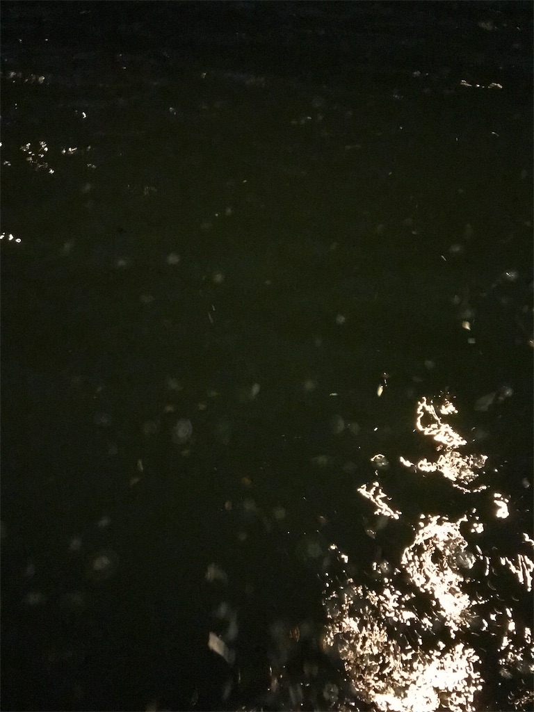 f:id:anahazetaro:20190703083119j:image