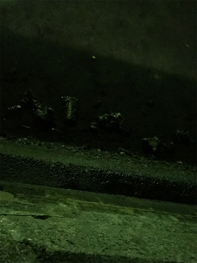 f:id:anahazetaro:20191003123644j:image