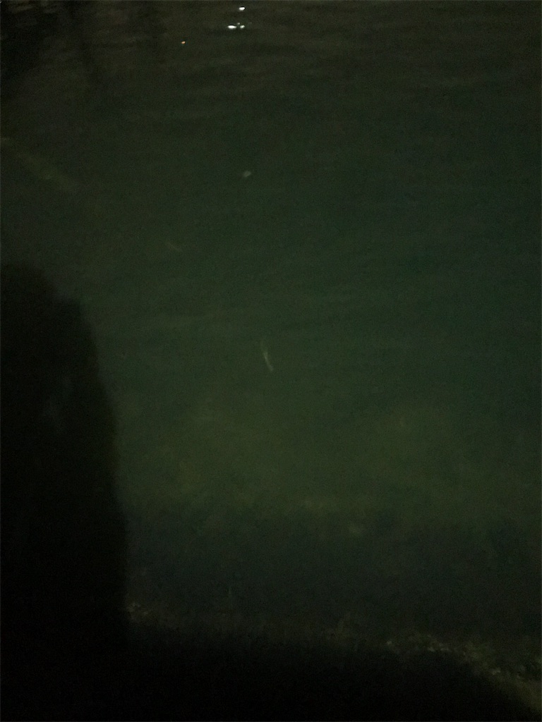 f:id:anahazetaro:20200212235235j:image
