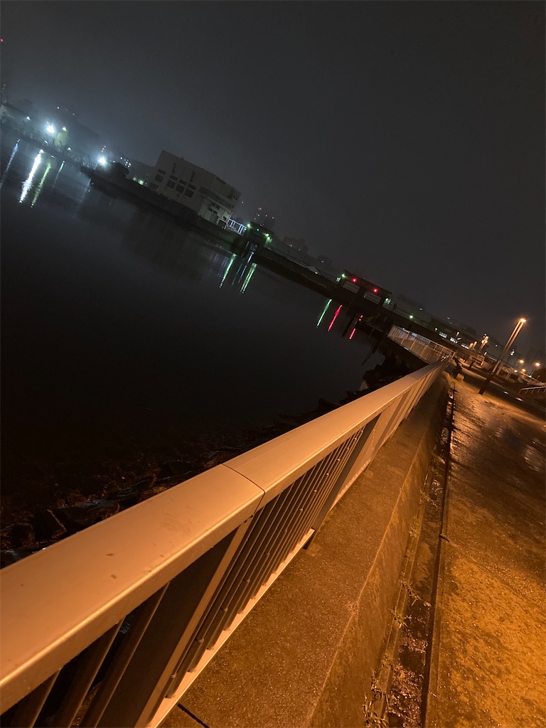 f:id:anahazetaro:20210519184335j:image