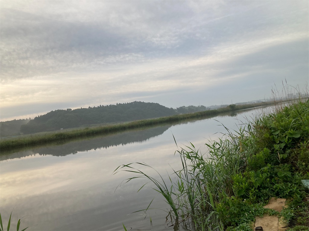 f:id:anahazetaro:20210529033305j:image