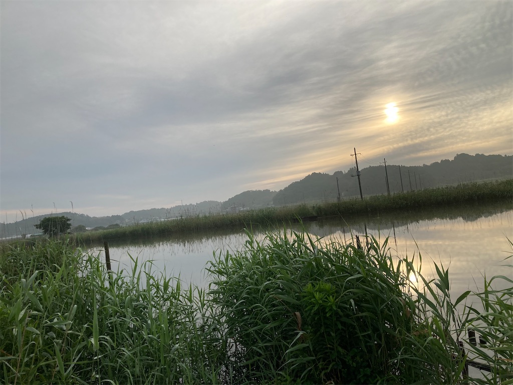 f:id:anahazetaro:20210529033308j:image