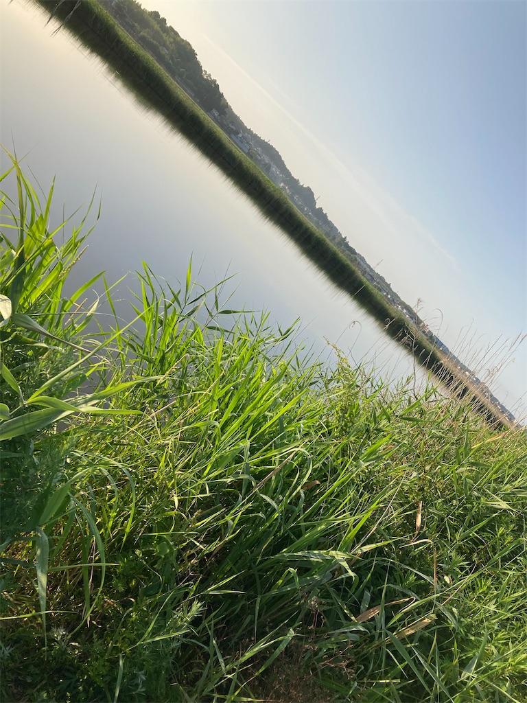 f:id:anahazetaro:20210604084231j:image