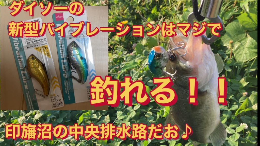 f:id:anahazetaro:20220603171819j:image