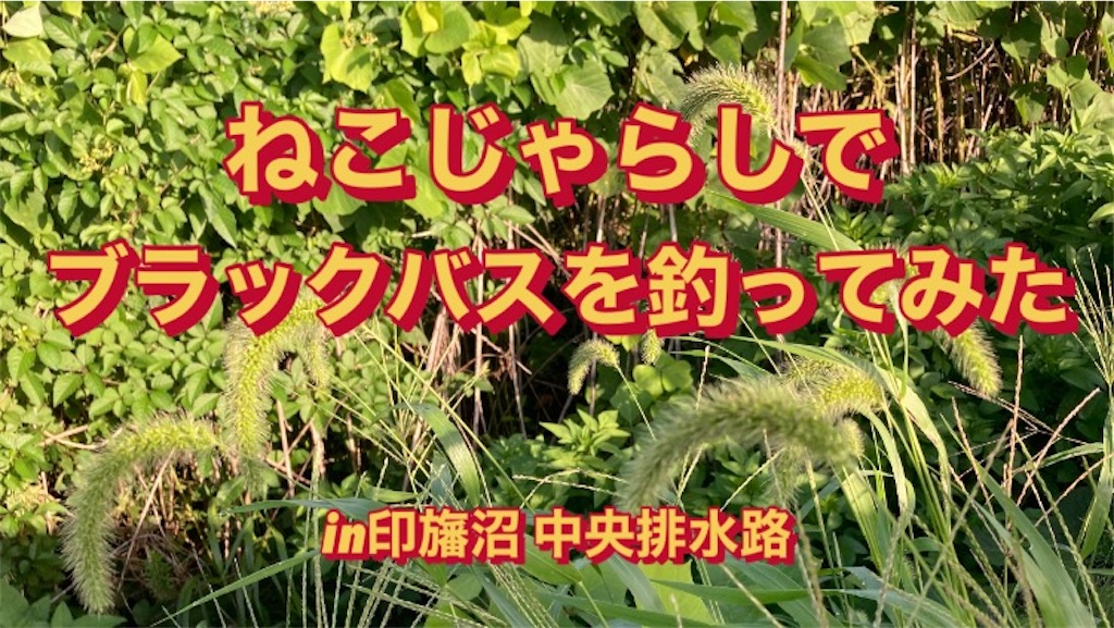 f:id:anahazetaro:20220922170835j:image