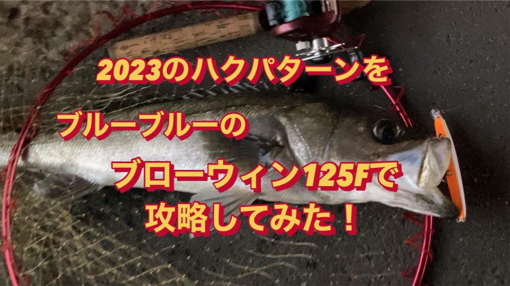 f:id:anahazetaro:20230228170122j:image