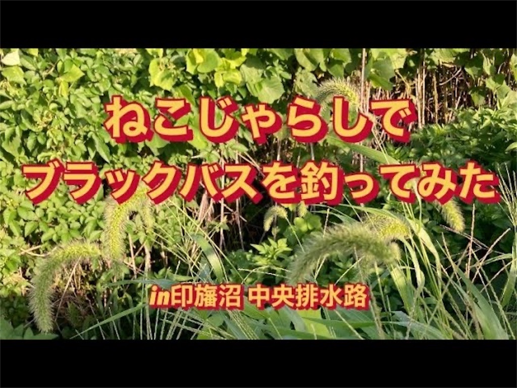 f:id:anahazetaro:20240201181723j:image