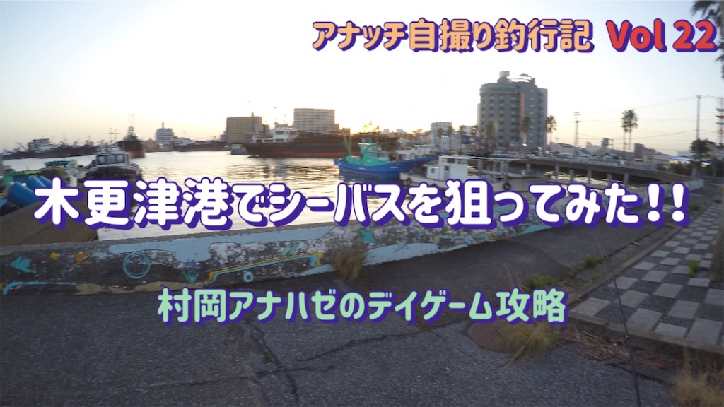 f:id:anahazetaro:20240510165655j:image