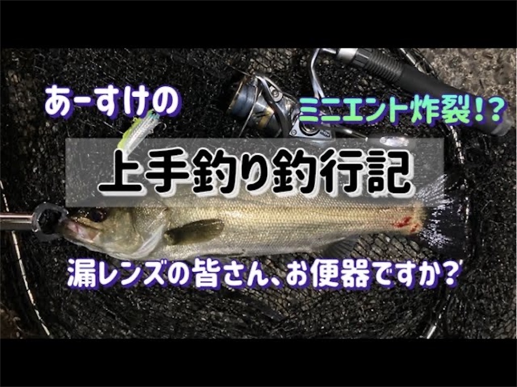 f:id:anahazetaro:20240816100947j:image