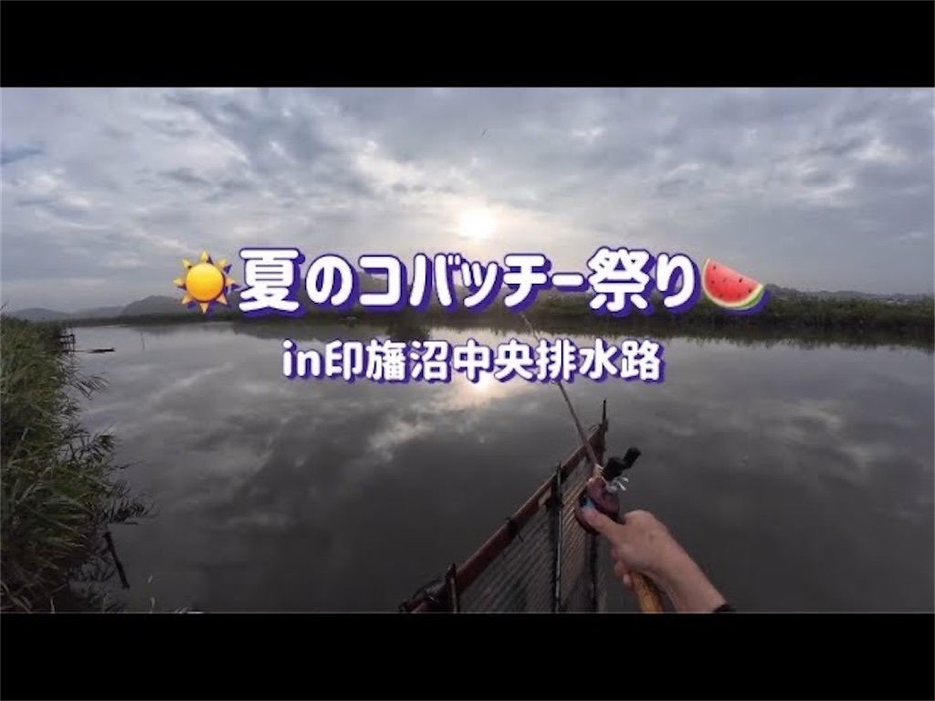 f:id:anahazetaro:20240912201032j:image
