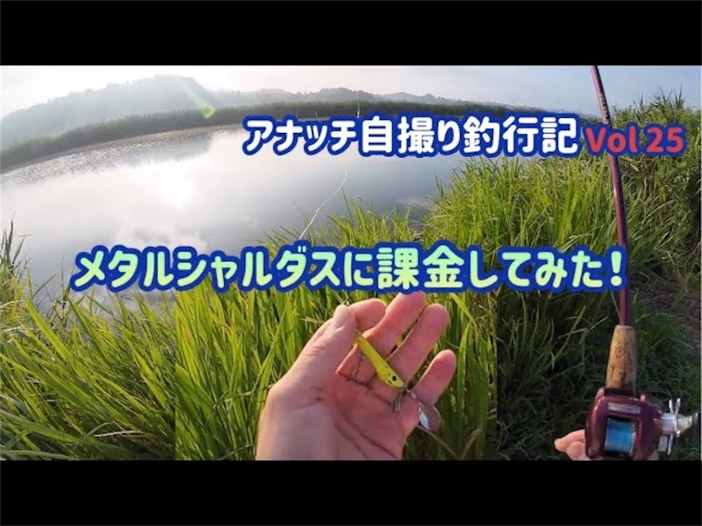 f:id:anahazetaro:20240920084201j:image