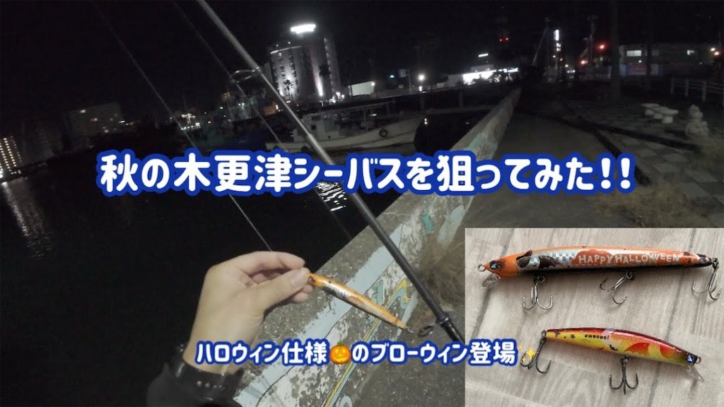 f:id:anahazetaro:20250109194041j:image