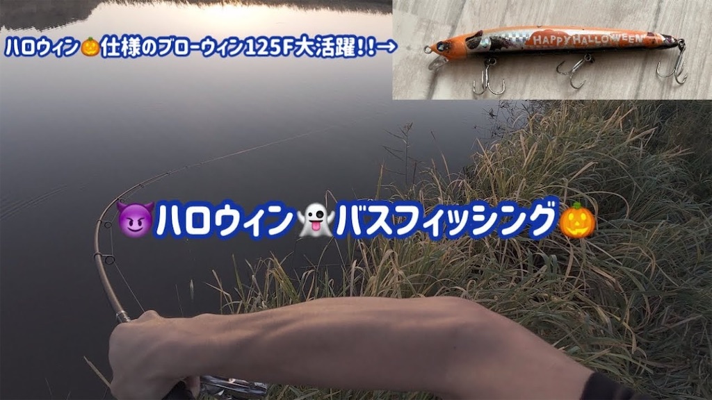 f:id:anahazetaro:20250109204516j:image