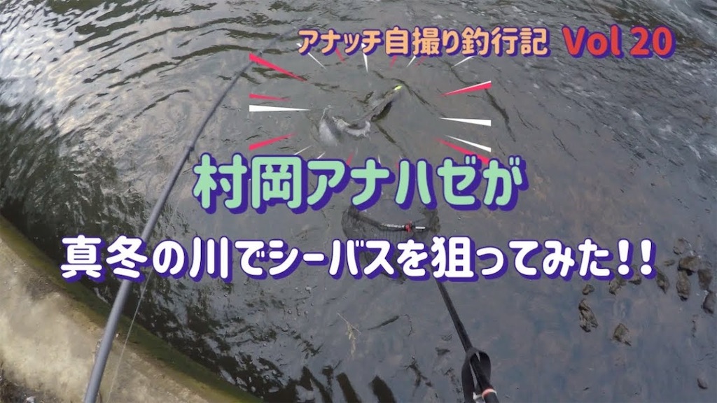 f:id:anahazetaro:20250129135452j:image
