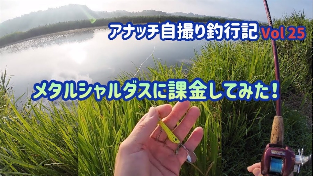 f:id:anahazetaro:20250319112326j:image