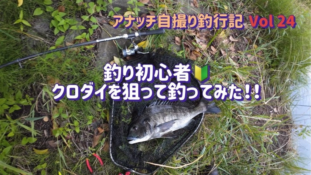 f:id:anahazetaro:20250319112434j:image