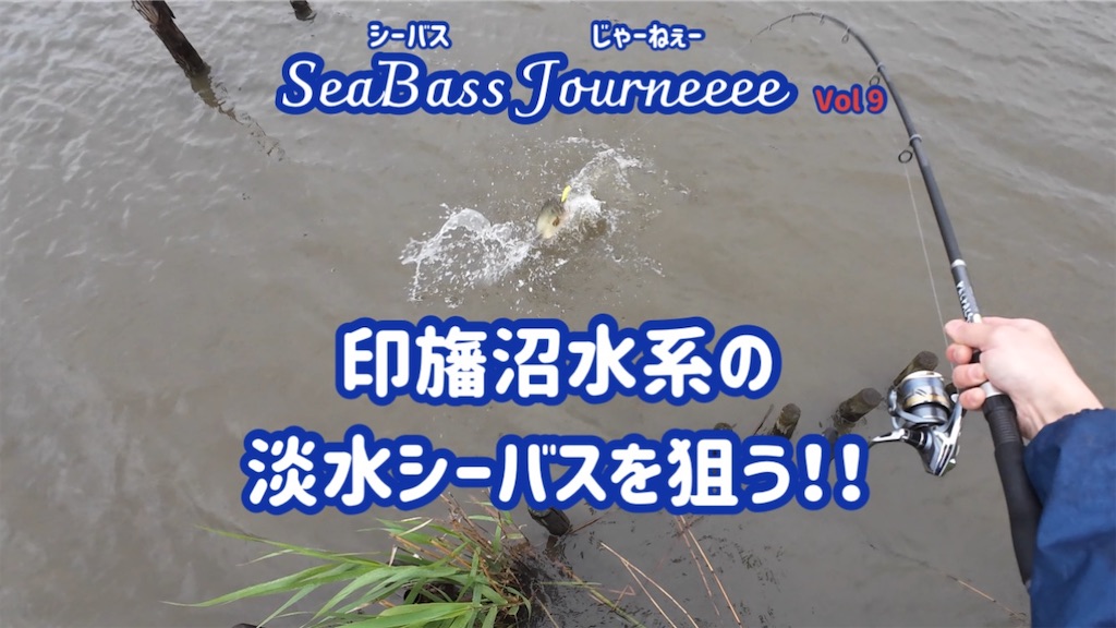 f:id:anahazetaro:20250515171655j:image