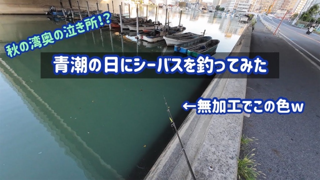 f:id:anahazetaro:20260107111015j:image
