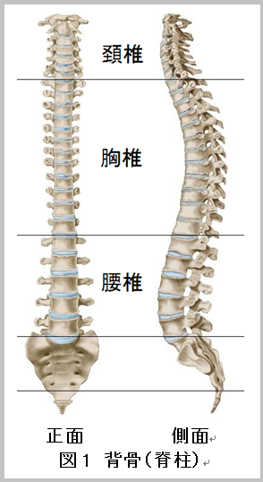f:id:anal_pig:20190416022101p:plain
