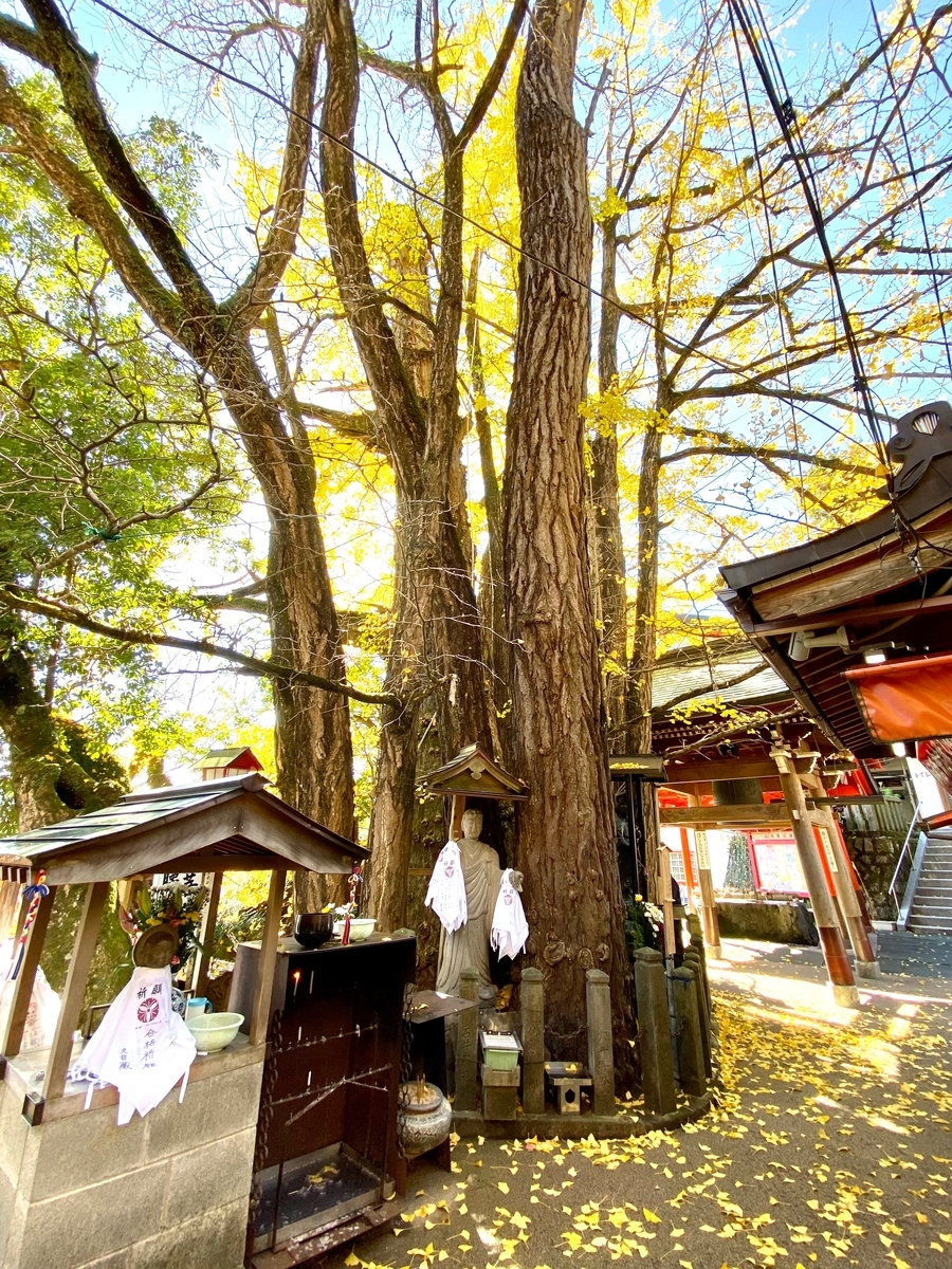 f:id:anan0429:20200319123924j:plain f:id:anan0429:20200319123924j:plain