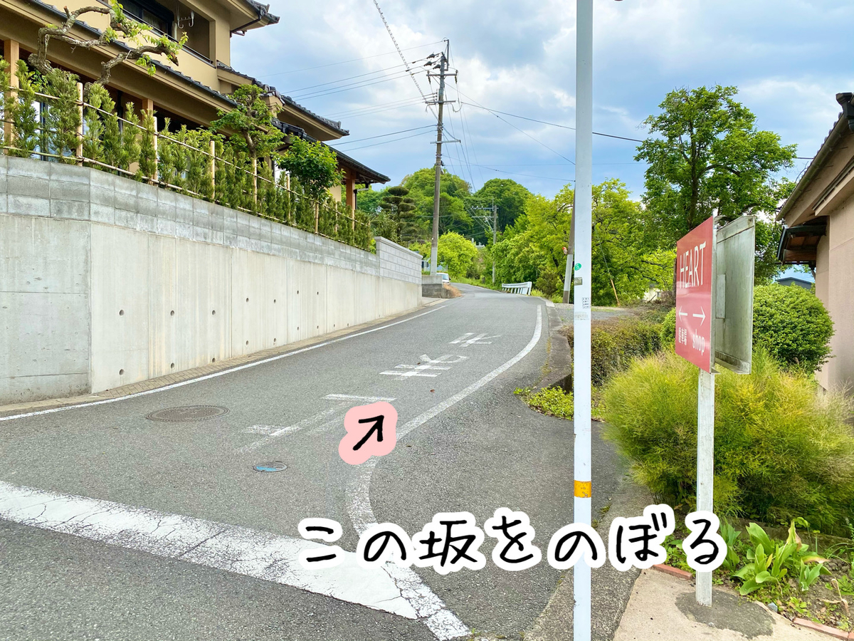 f:id:anan0429:20210429134006j:plain