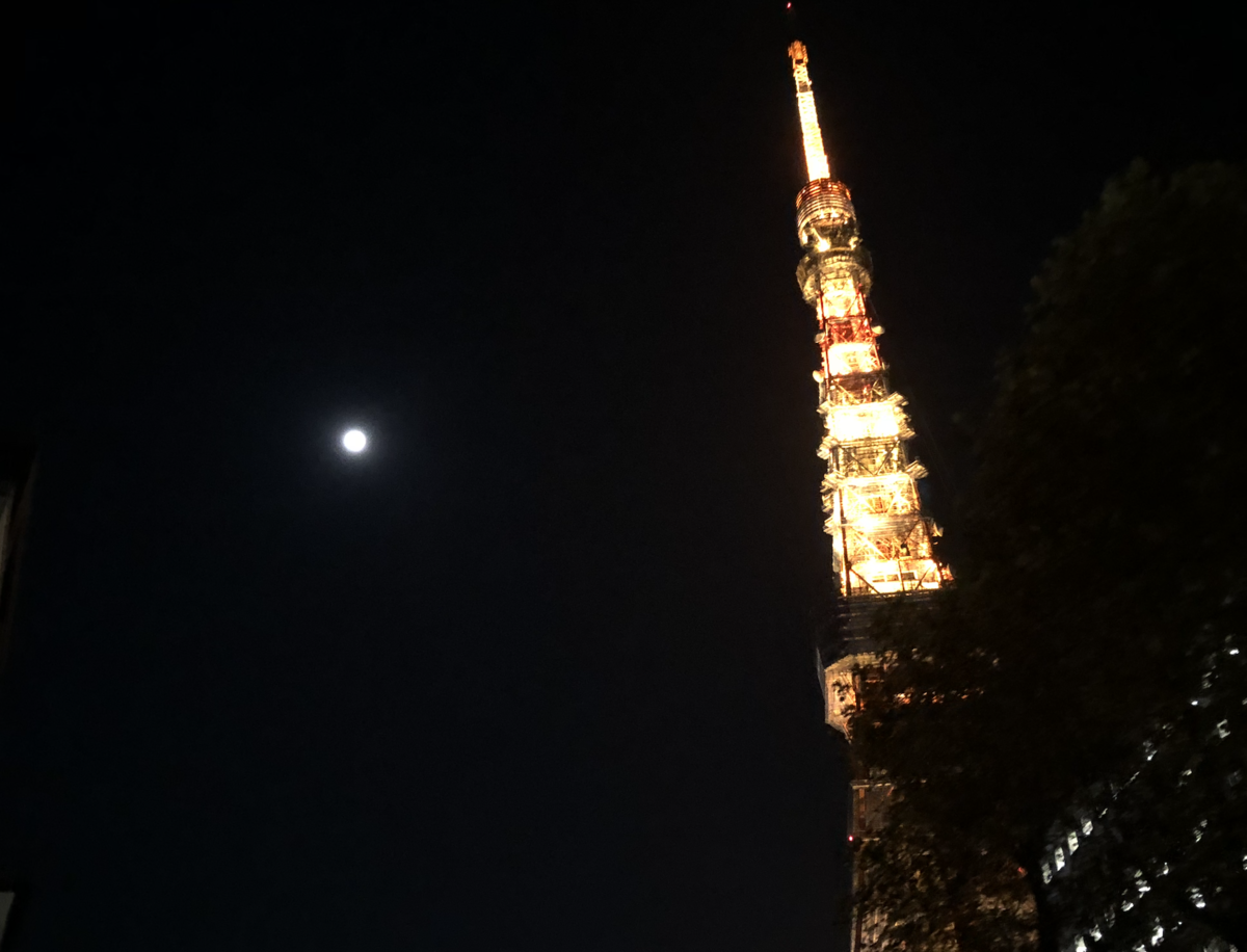 f:id:ananachan:20190916221906p:plain