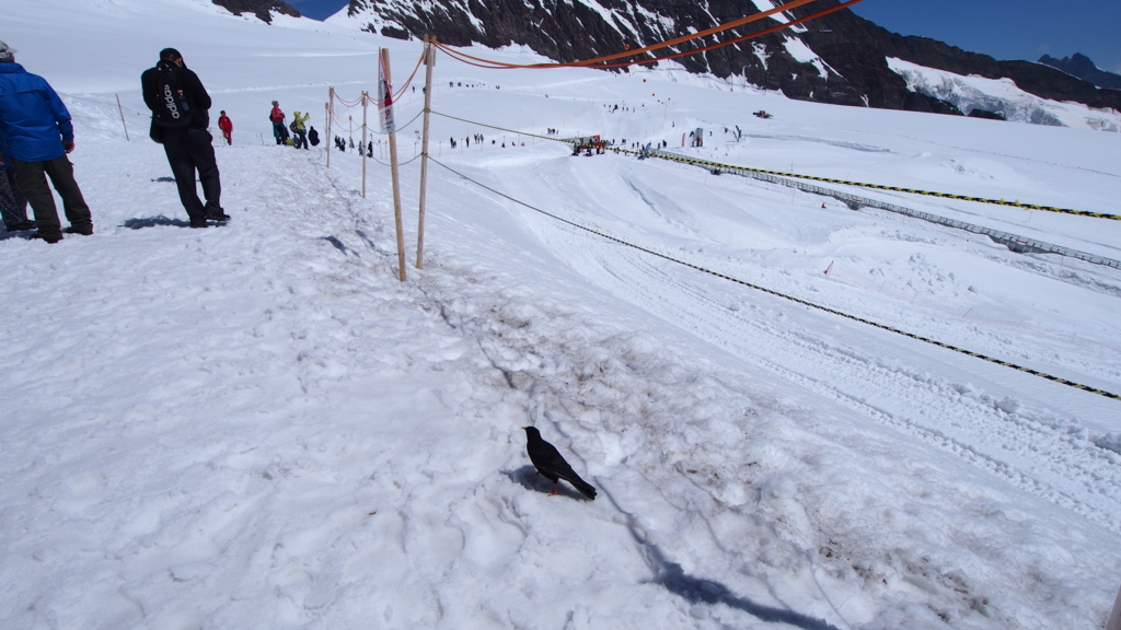 f:id:anapan:20160917220414j:plain