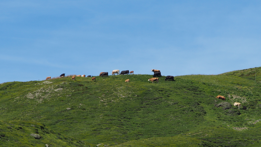 f:id:anapan:20160917224838j:plain