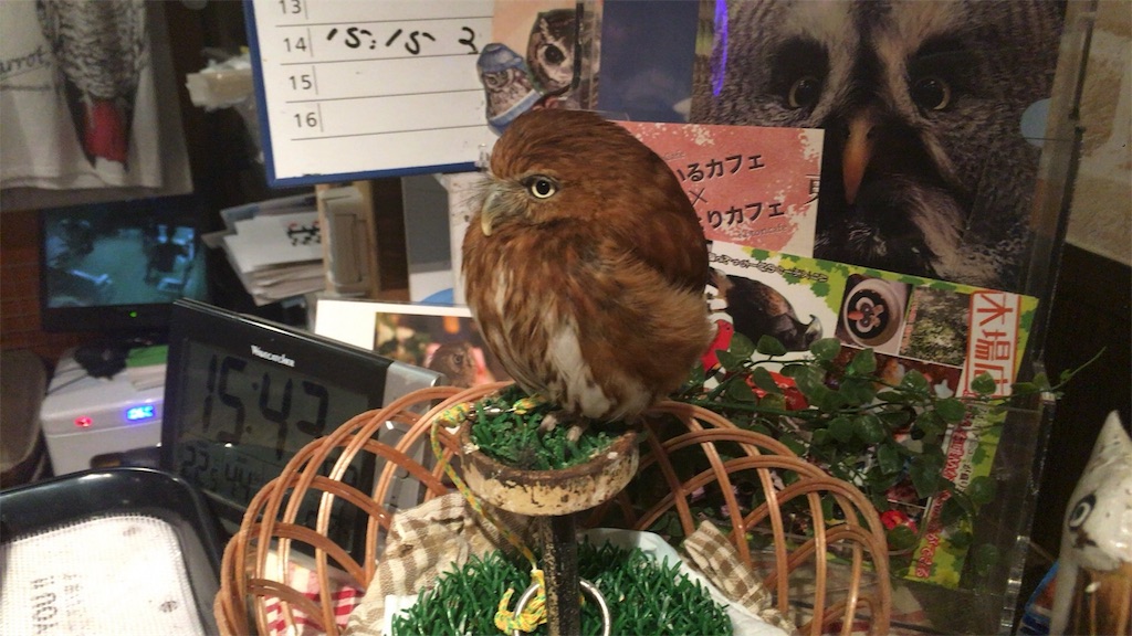 f:id:anataniha:20160603110806j:image f:id:anataniha:20160603110806j:image
