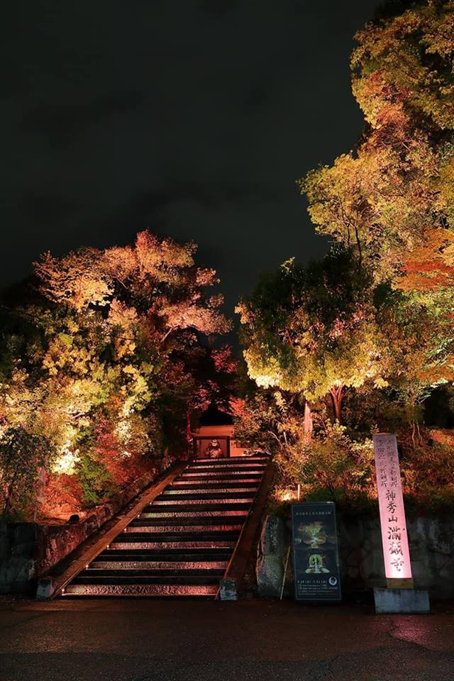 f:id:anatano-kameya-2014:20190429230823j:plain f:id:anatano-kameya-2014:20190429230823j:plain