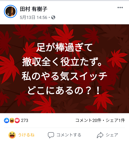 f:id:anatano-kameya-2014:20190521222613p:plain f:id:anatano-kameya-2014:20190521222613p:plain