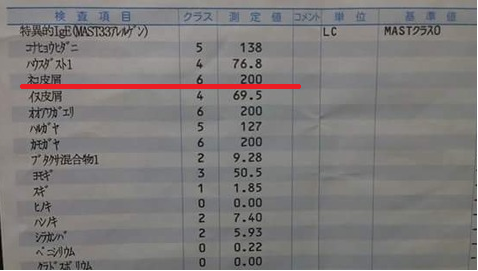 f:id:anatano-kameya-2014:20190911091934p:plain f:id:anatano-kameya-2014:20190911091934p:plain