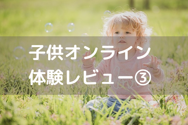 f:id:anayabo:20191101130148j:plain