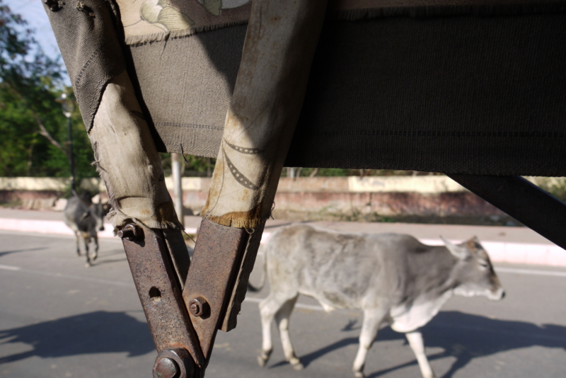 f:id:anbeto:20100228192021j:image:w360