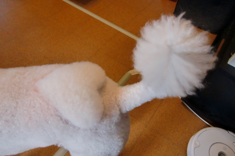 f:id:anbeto:20110805025048j:image:w360 f:id:anbeto:20110805025048j:image:w360