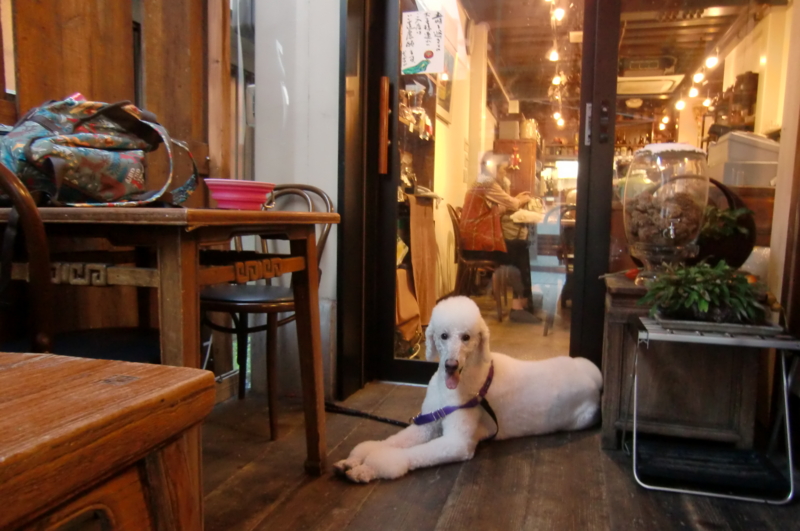 f:id:anbeto:20110828054032j:image:w360