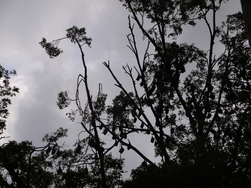 f:id:anbeto:20110901061628j:image:w360