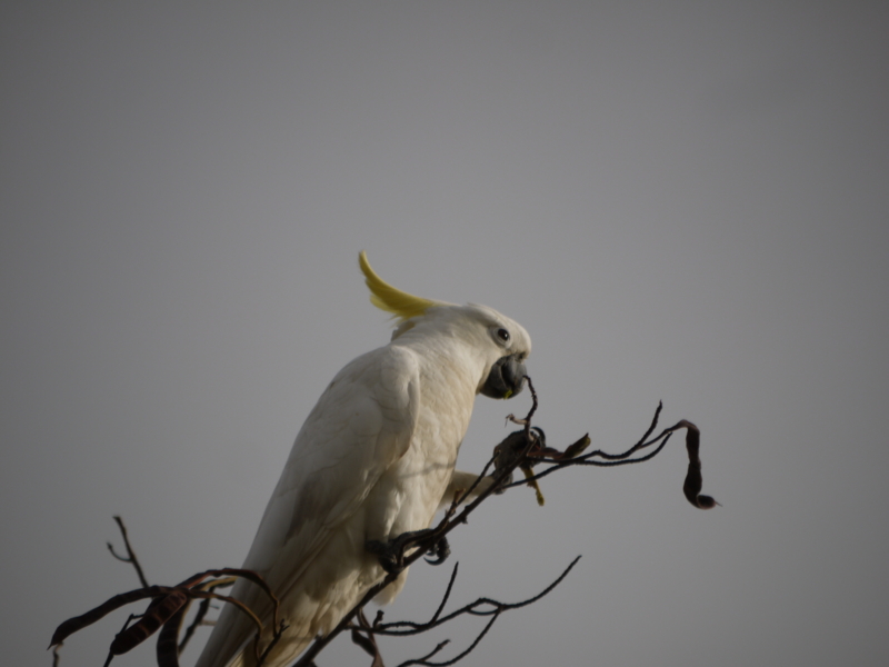 f:id:anbeto:20110901063031j:image:w360