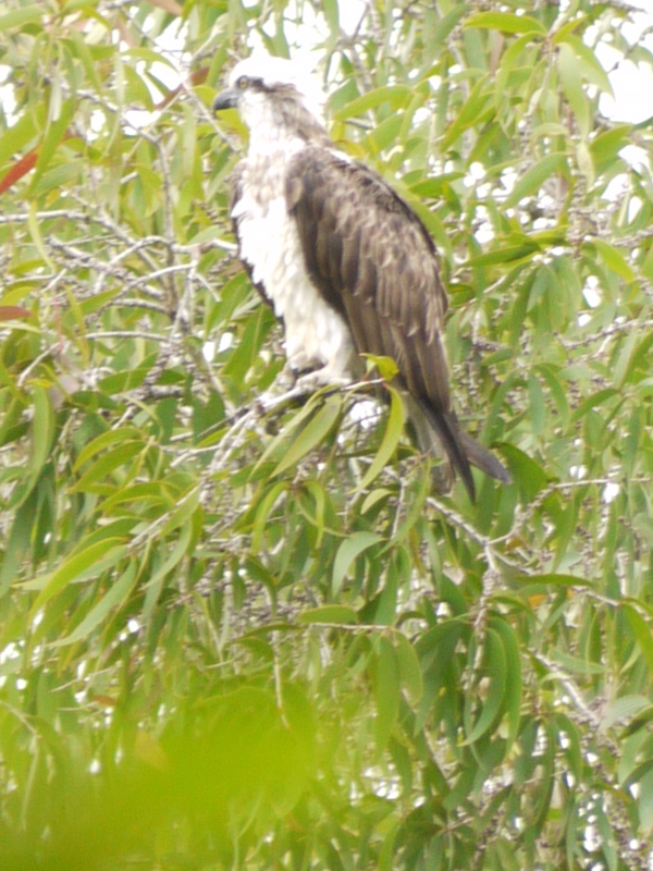 f:id:anbeto:20110901073659j:image:w360