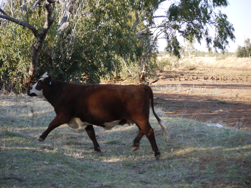 f:id:anbeto:20110903065935j:image:w360