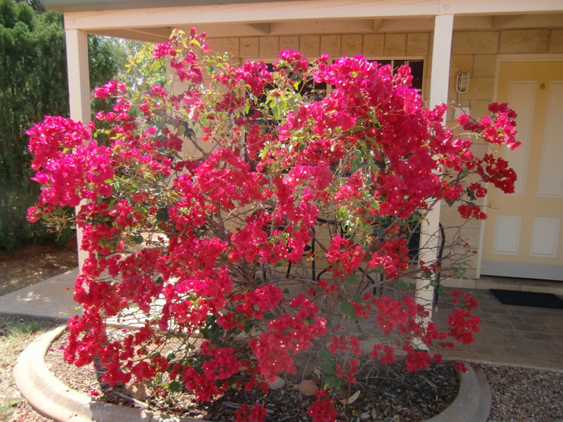 f:id:anbeto:20110904014800j:image:w360