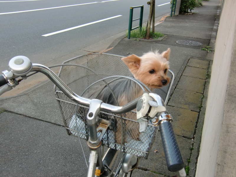 f:id:anbeto:20111006043627j:image:w360